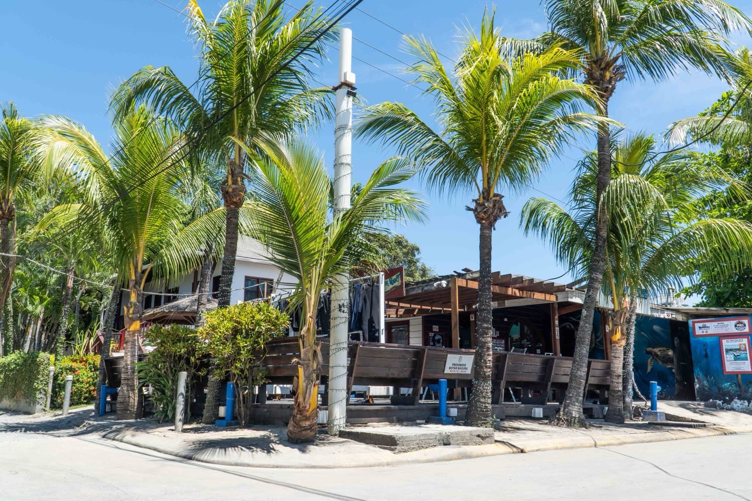 Diving · Splash Inn Dive Resort, Roatan