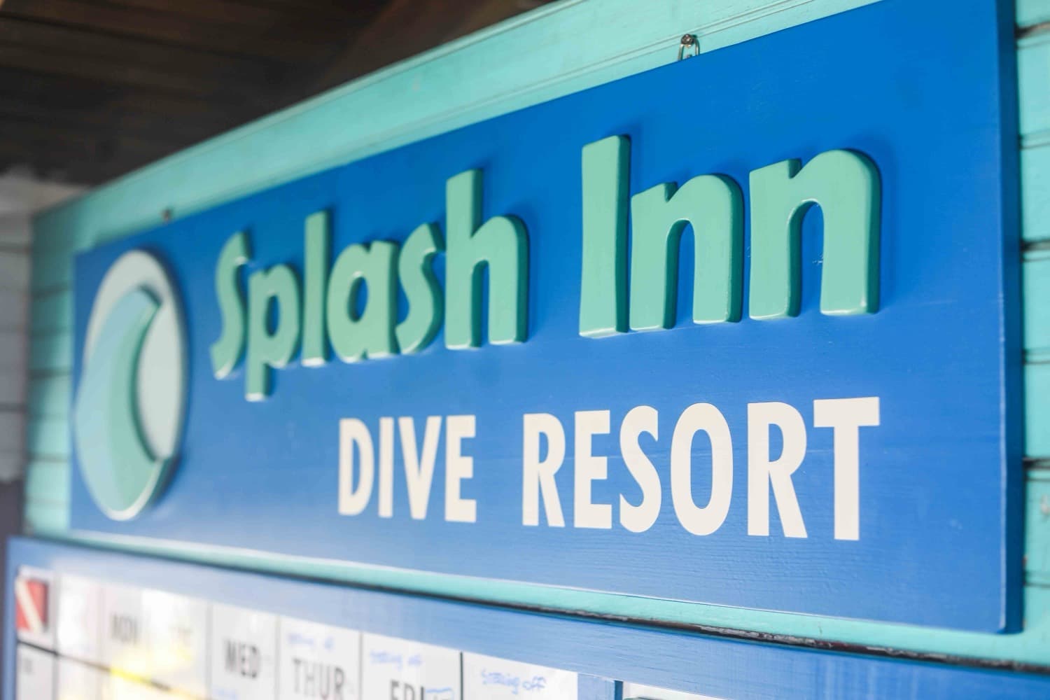 Diving · Splash Inn Dive Resort, Roatan