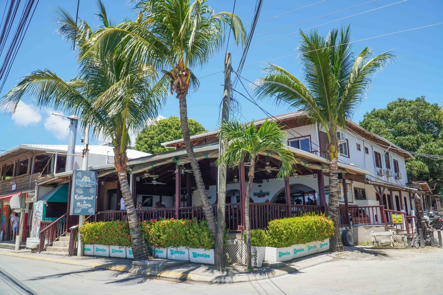 Splash Inn Dive Resort seen from the main street in West End, framed by palms