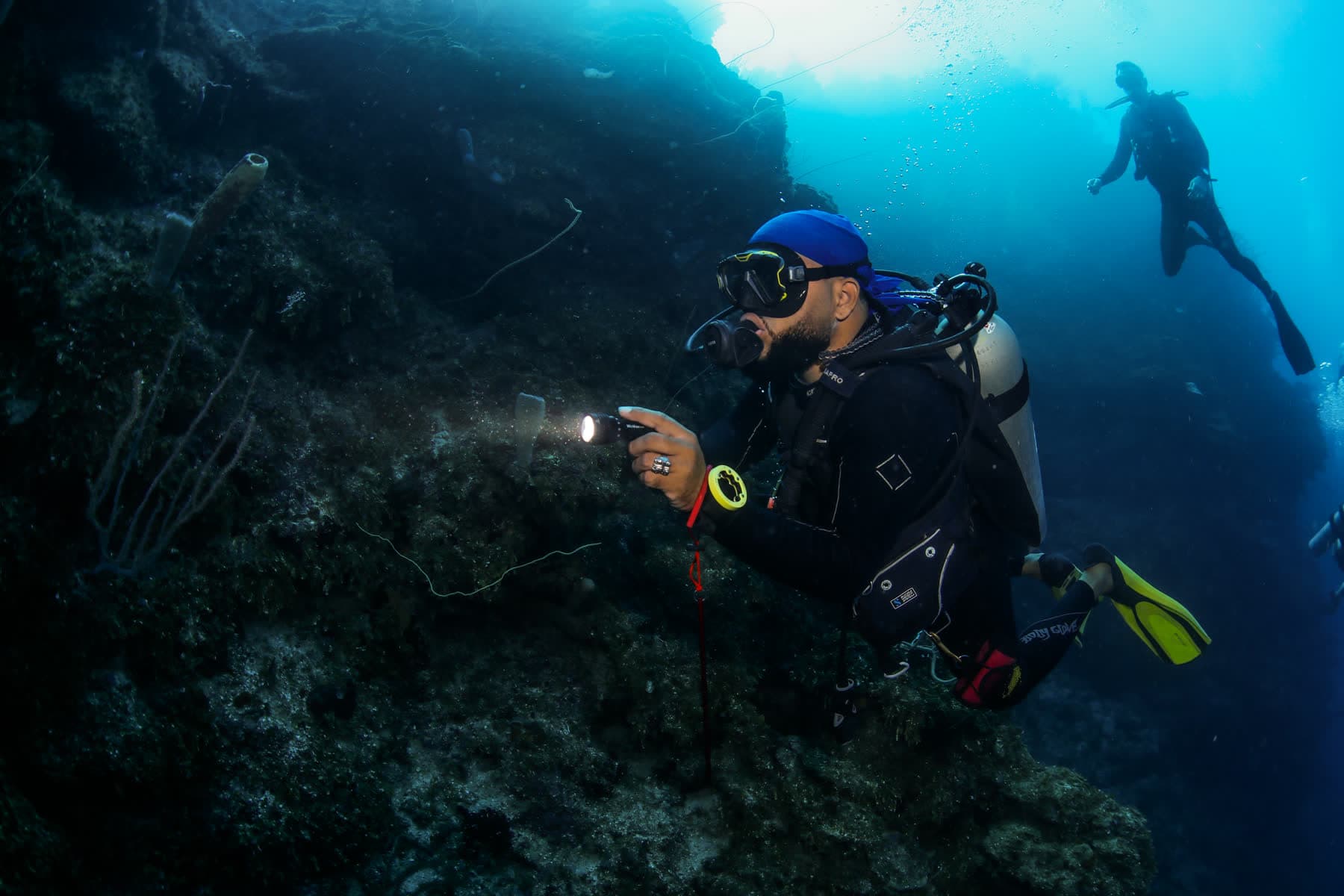 Deep Diver Specialty