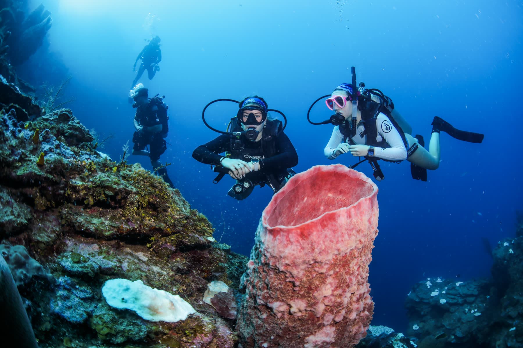 Divemaster Course