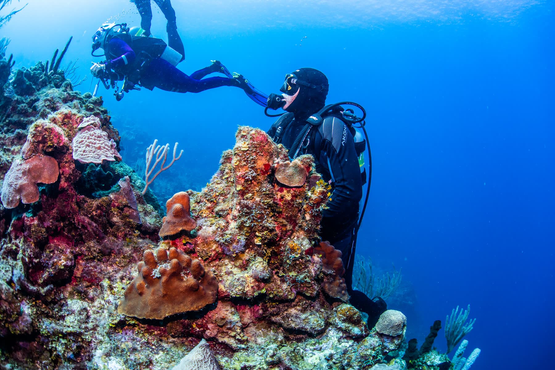Fun Dive