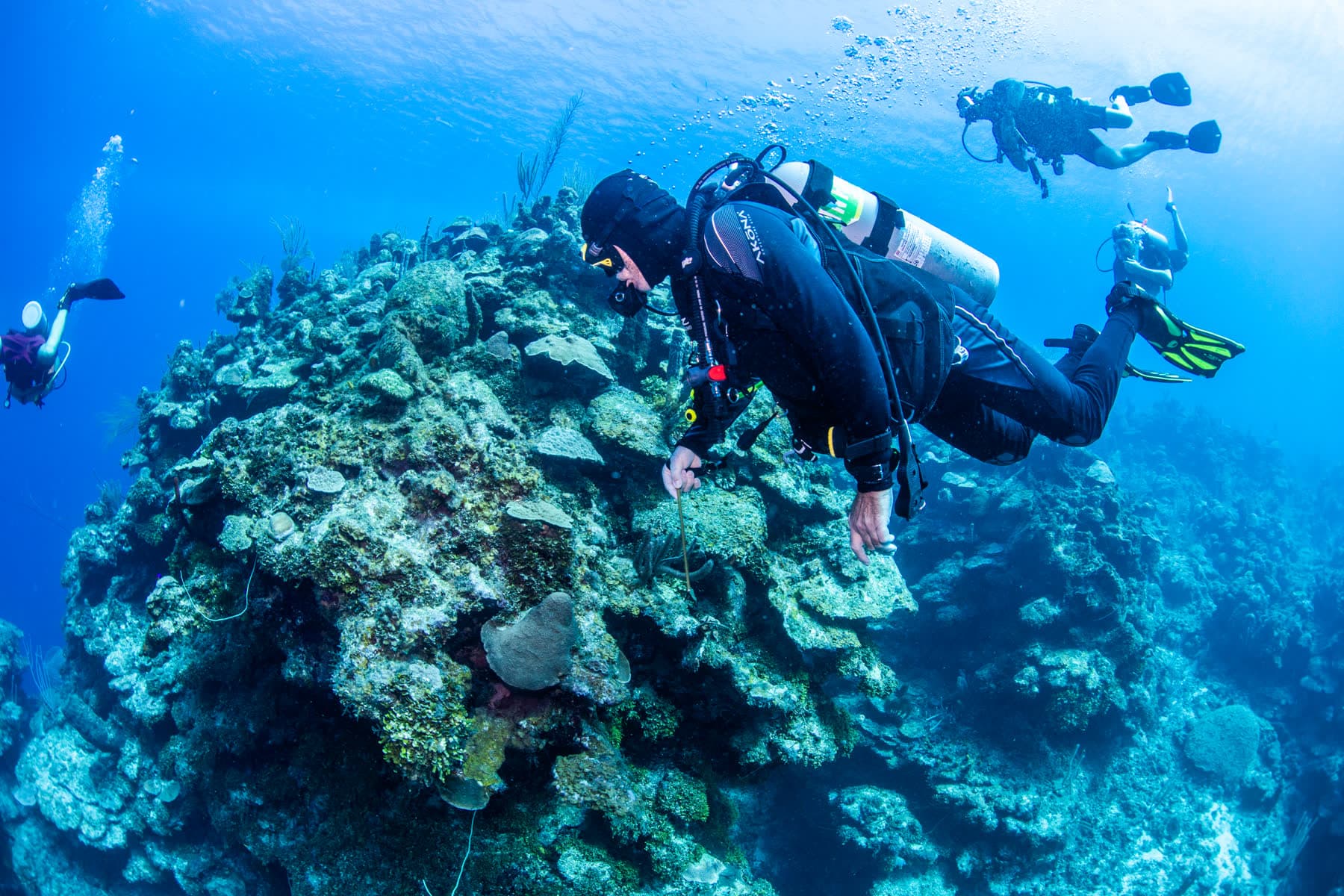 Open Water Course