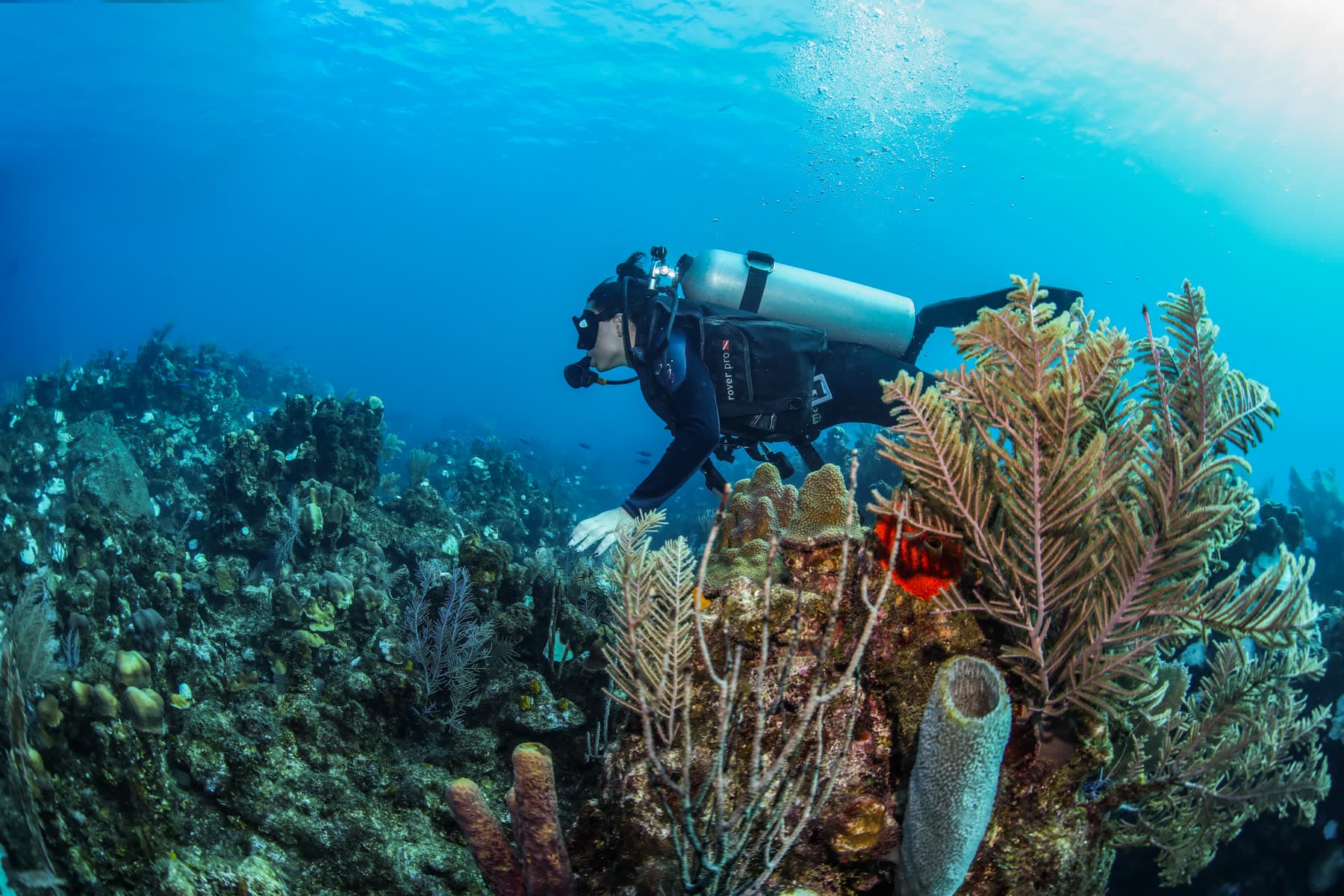Scuba Diver Course