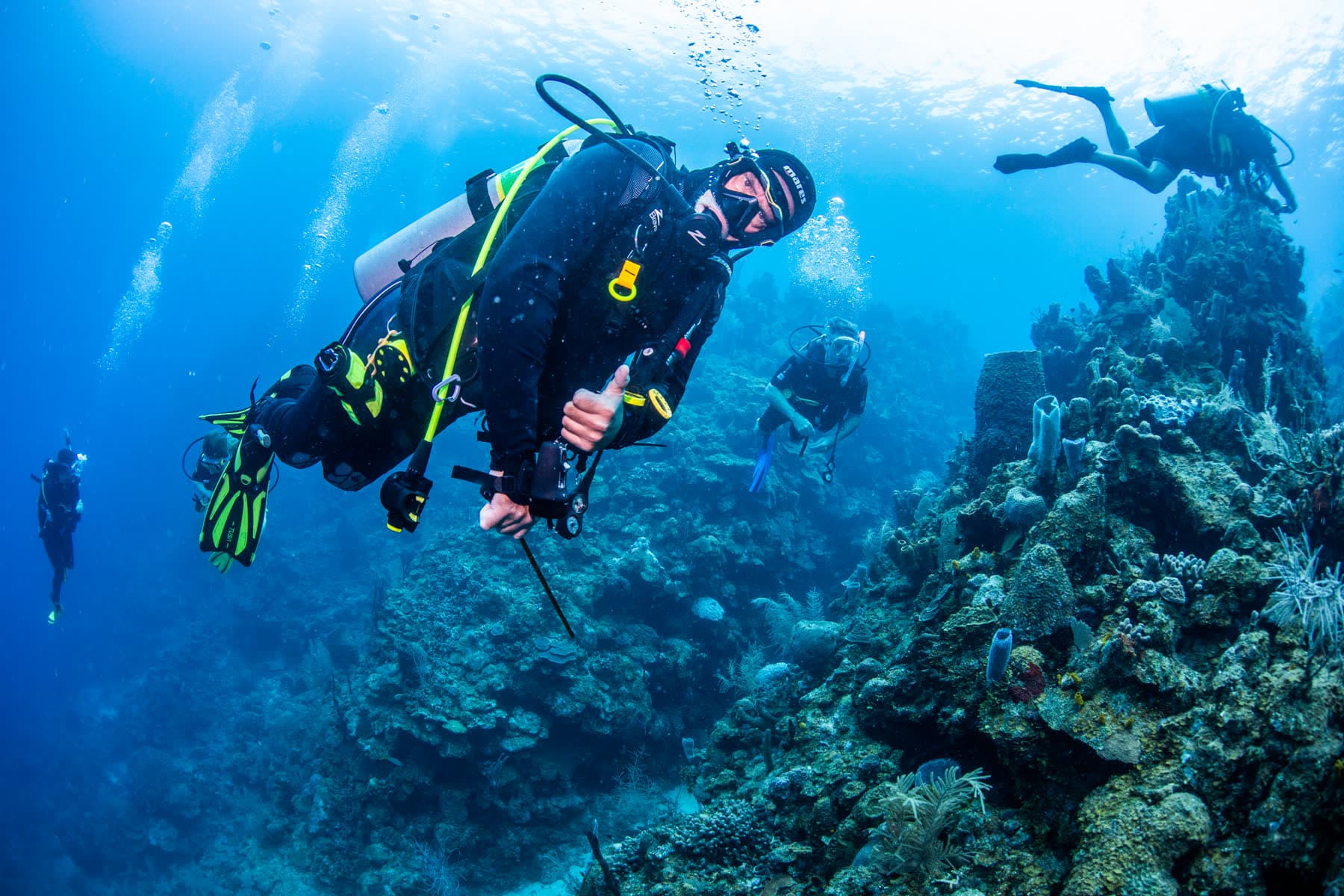 Shark Dive