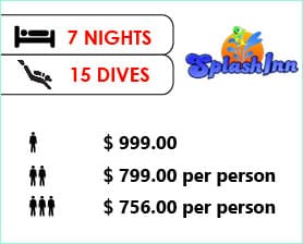 DIVE-PACKAGES-2023-7-NIGHTS