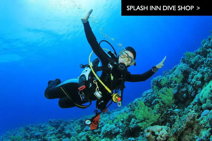 Home-Splash-Inn-Roatan-Dive-Shop