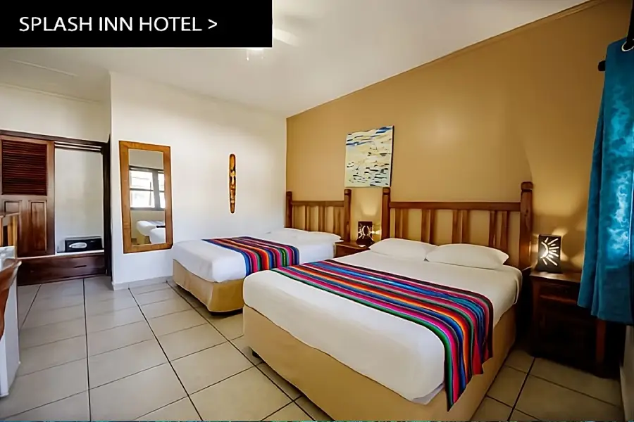 Home-Splash-Inn-Roatan-Hotel-Room