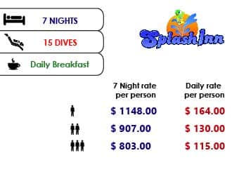 banners paquetes web 7x15