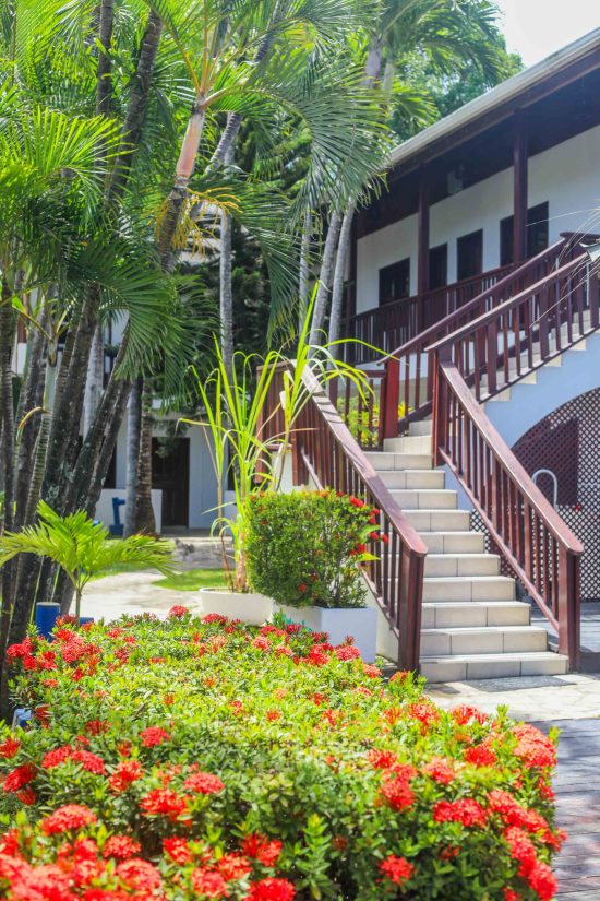 roatan dive resort