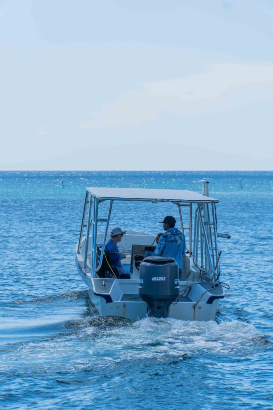 roatan dive resort