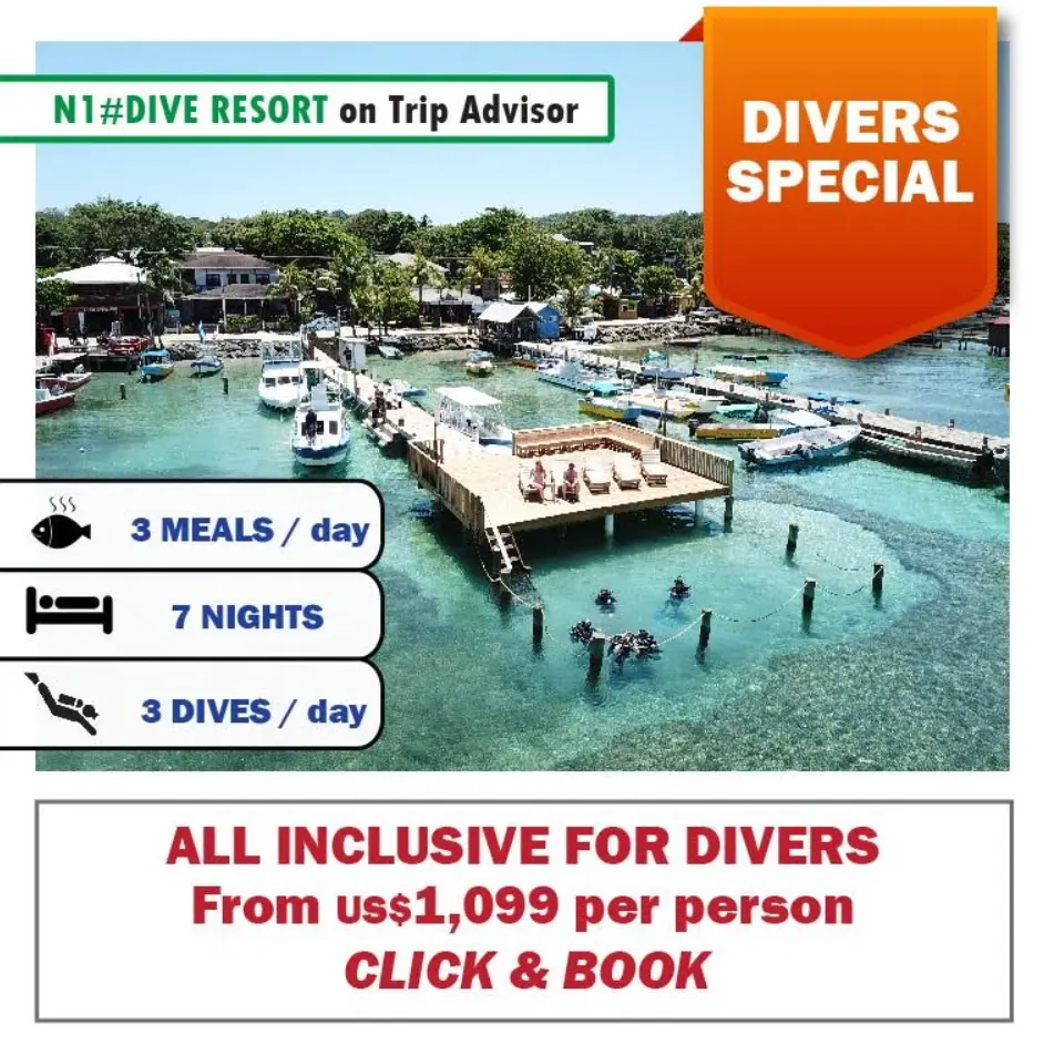 All Inclusive 2026